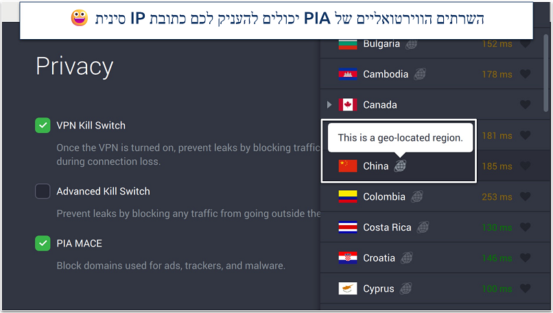 Screenshot of PIA's privacy settings and virtual servers in the app